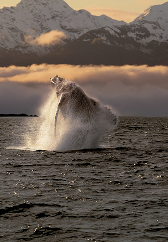 Alaska, 15 agosto 2026